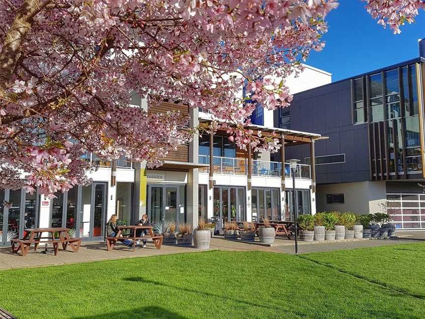 Tussock Bar and Cafe, Mount Cook, New Zealand