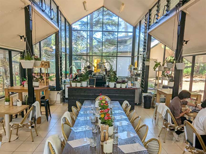 Sorensen's Glasshouse & Gardens, Food & drink in Leura