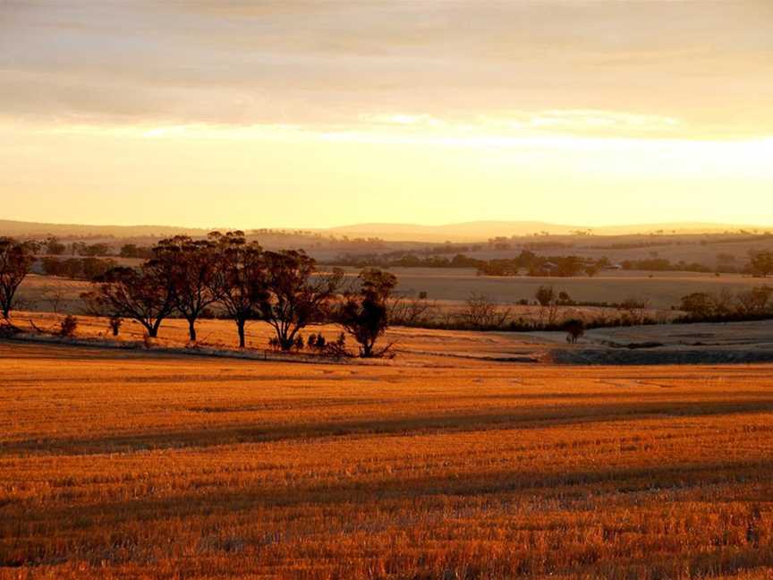 Summer in Toodyay