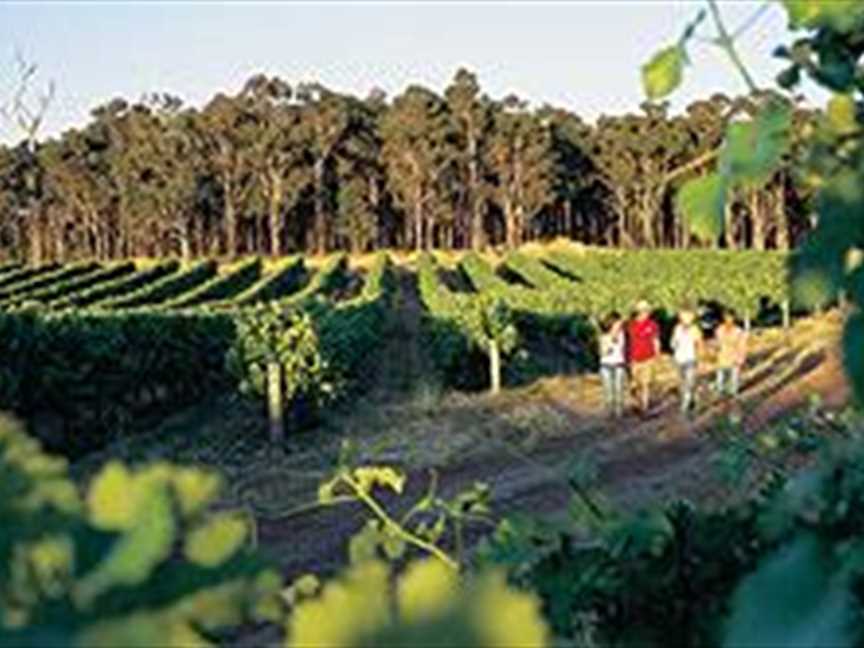 Margaret River & Augusta Tourism, Travel and Information Services in Margaret River