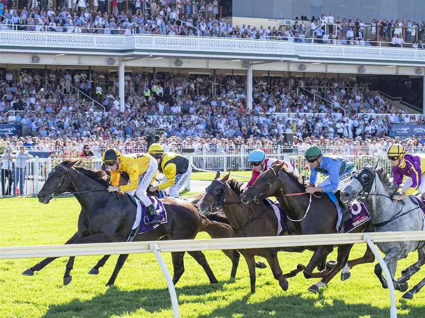 Ascot Racecourse, Local Facilities in Ascot