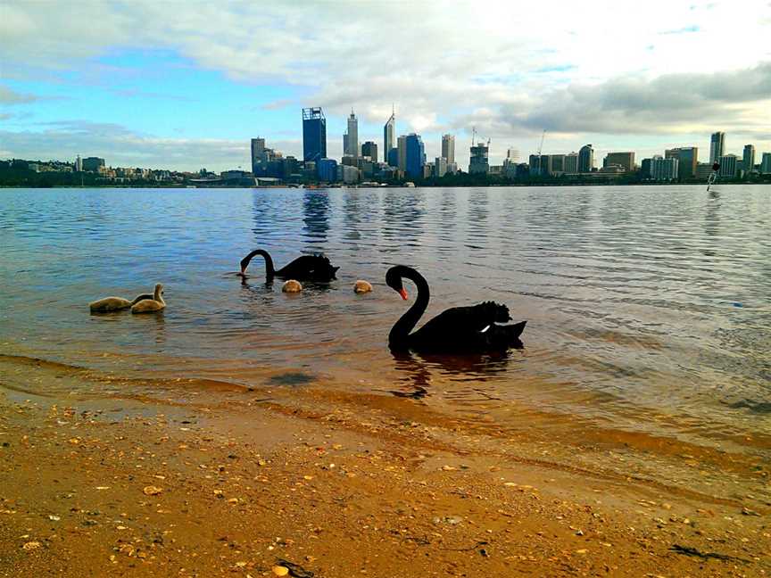 South Perth