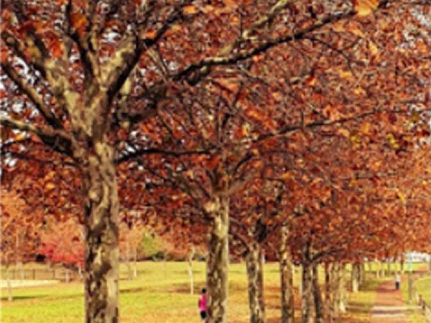 James Spiers Park, Local Facilities in Wanneroo