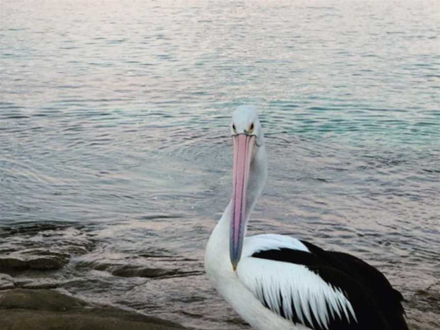 Old Dunsborough Beach, Local Facilities in Dunsborough