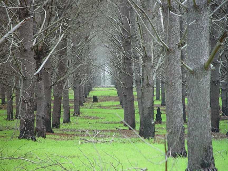 Pinjar Pine Plantation, Local Facilities in Nowergup