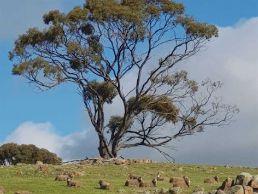 UWA Farm Ridgefield, Local Facilities in West Pingelly