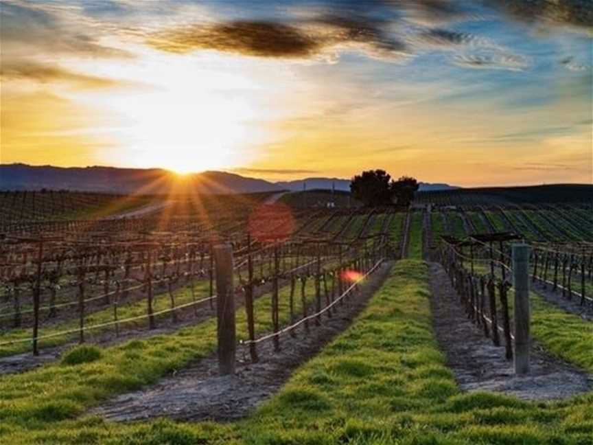 Wines Of Western Australia, Business directory in Claremont