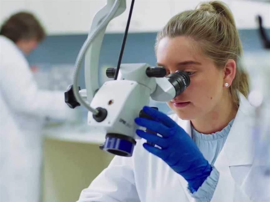 Ear Science Institute Australia, Business directory in Subiaco