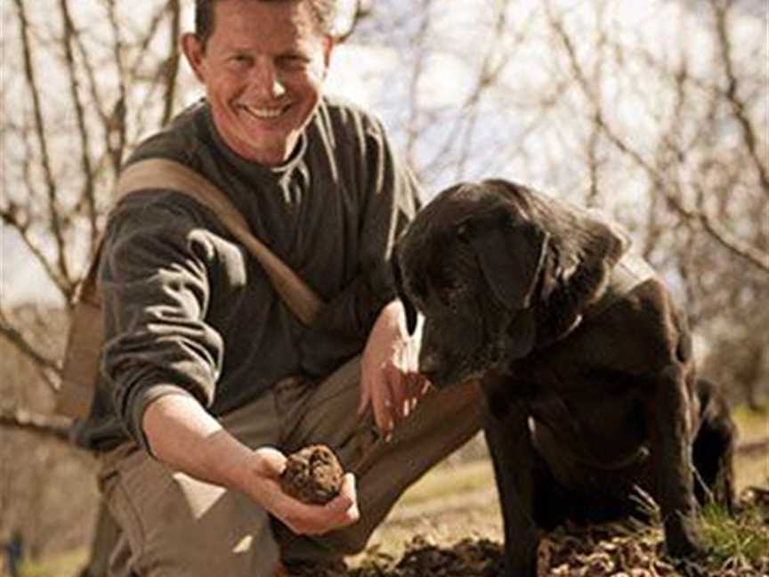 Manjimup truffles rival European counterparts