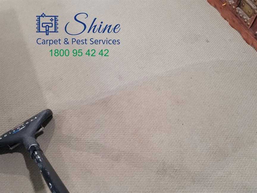 Shine Carpet and Pest Services, Business directory in Boondall