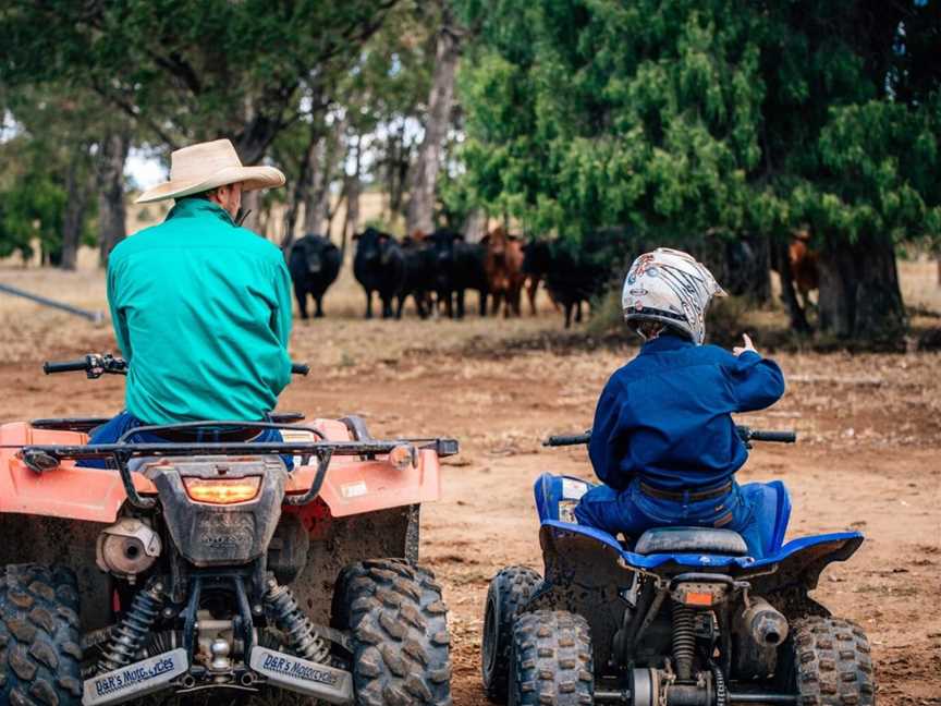 Classic country co, Shopping in Jimboomba