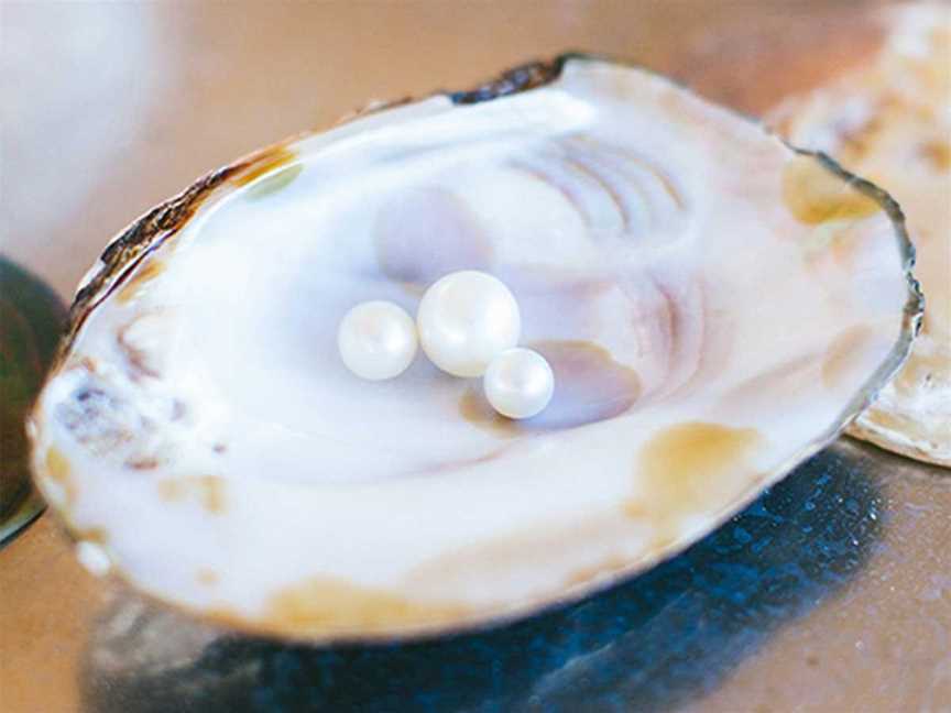 Willie Creek Pearls Tours, Tours in Broome