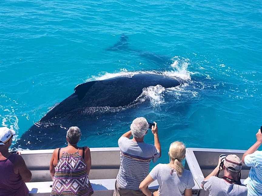 Absolute Ocean Charters, Tours in Broome