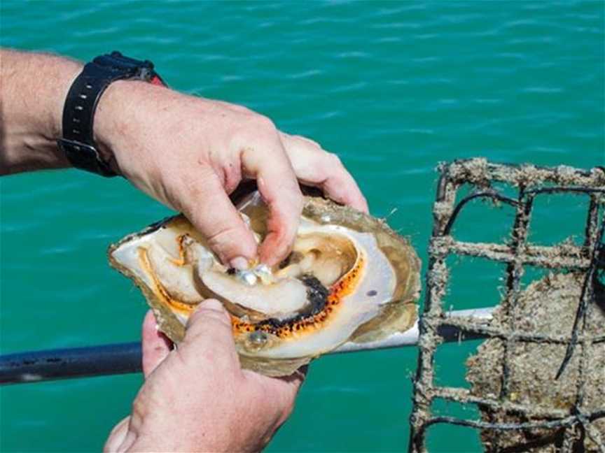 Pearl Luggers, Tours in China Town, Broome