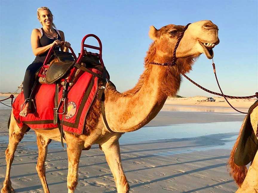 Red Sun Camels, Tours in Broome