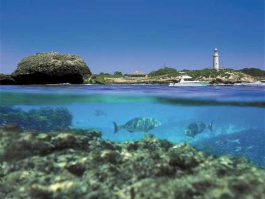 Rottnest Island