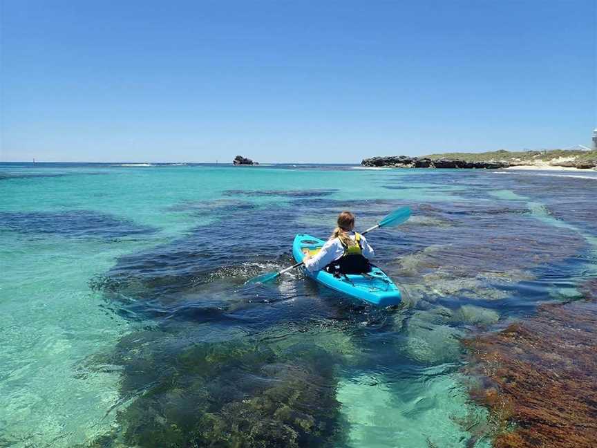 Rottnest Island Glass Bottom Sea Kayaking Tours, Tours in Rottnest Island