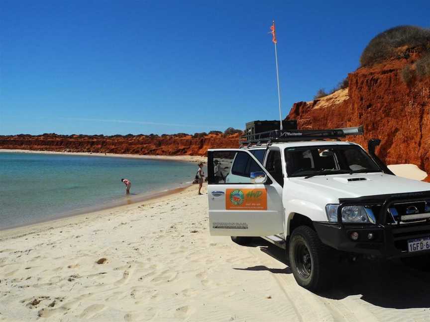 Shark Bay Coastal Tours, Tours in Denham