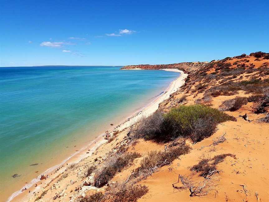 Shark Bay 4Wd Tours, Tours in Denham