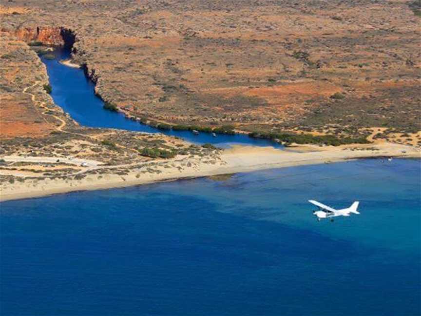 Ningaloo Aviation Tours, Tours in Exmouth