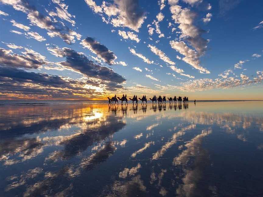 Broome Camel Safaris, Tours in Broome