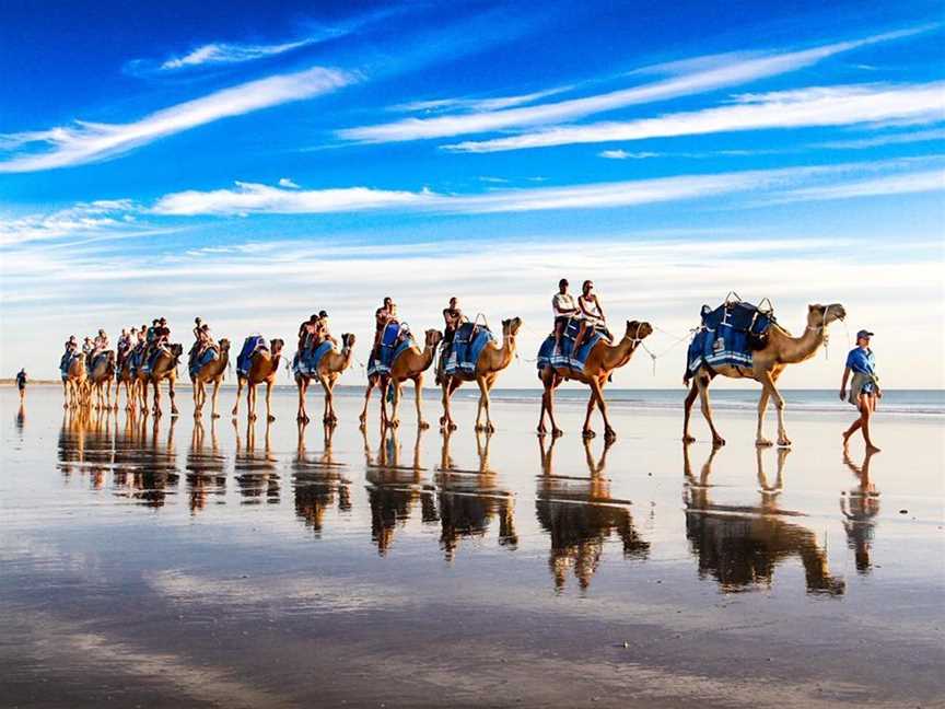 Broome Camel Safaris, Tours in Broome