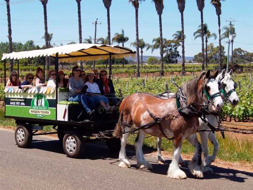 Swan Valley Wagon Tours, Tours in West Swan