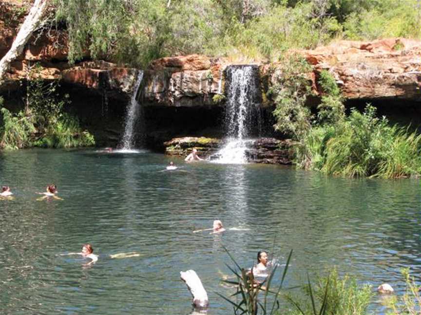 Coral Coast Tours, Tours in Coral Bay