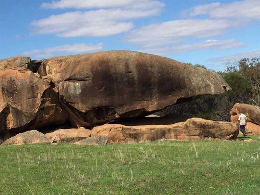 Njaki Njaki Aboriginal Cultural Tours, Tours in Merredin