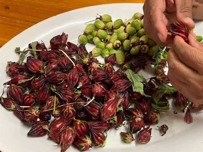 Mayi Harvests, Tours in Broome