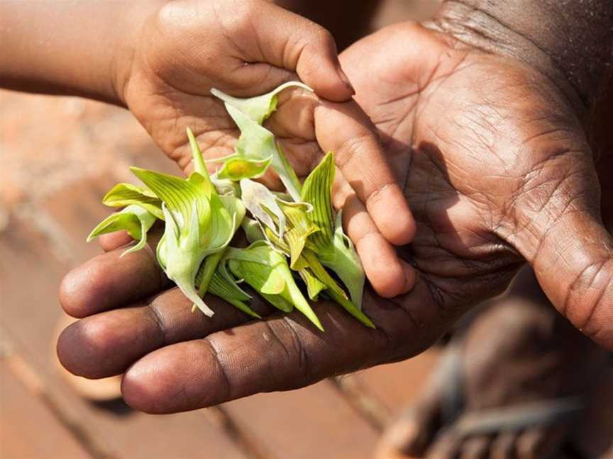 Bundy's Cultural Tours, Tours in Cape Leveque