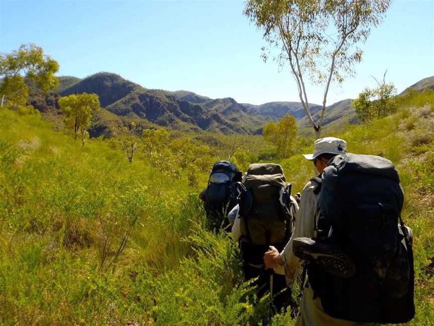 Black Tracks, Tours in Durack