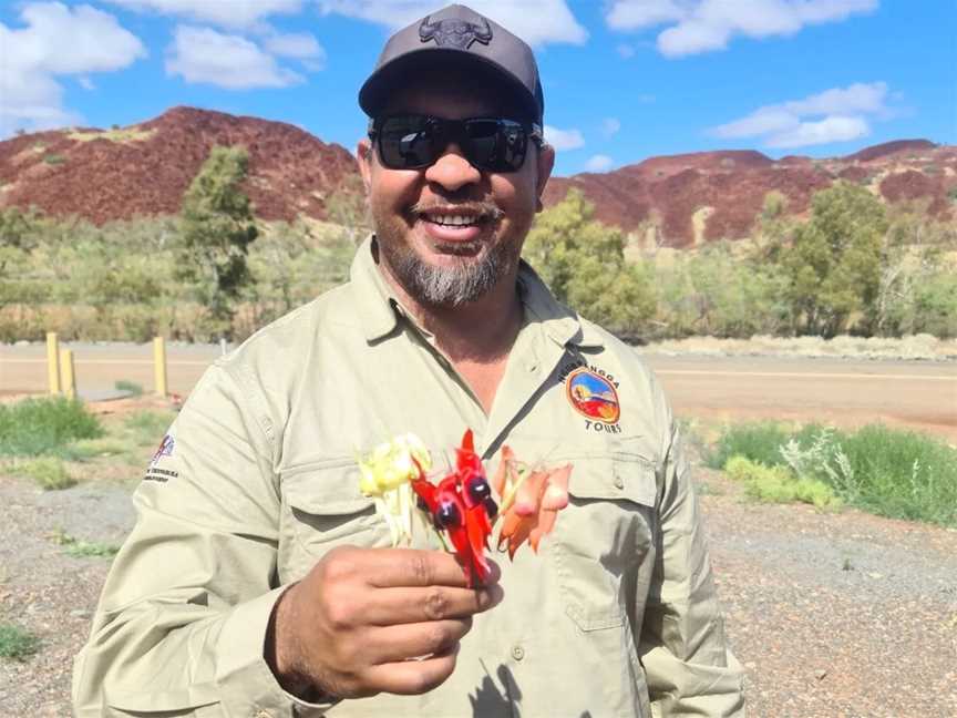 Bush Tucker Tour, Tours in Burrup