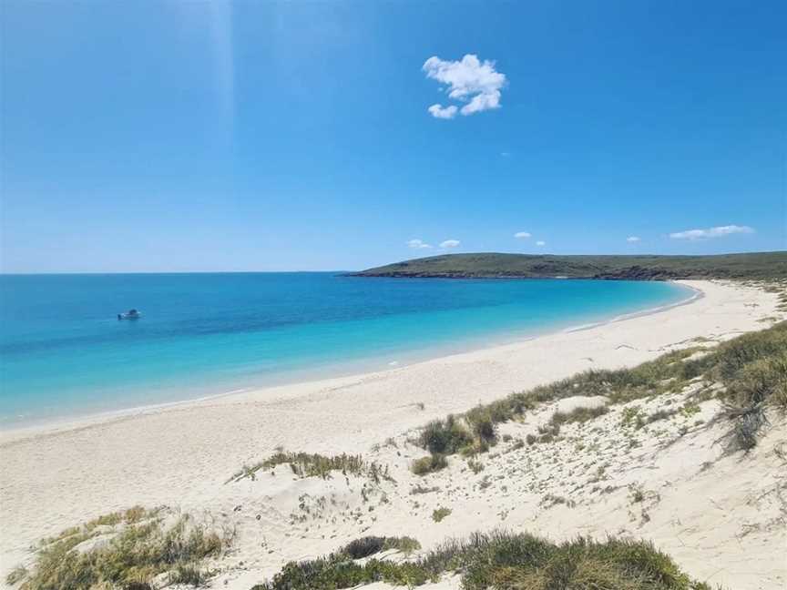 Bush Tucker Tour, Tours in Burrup