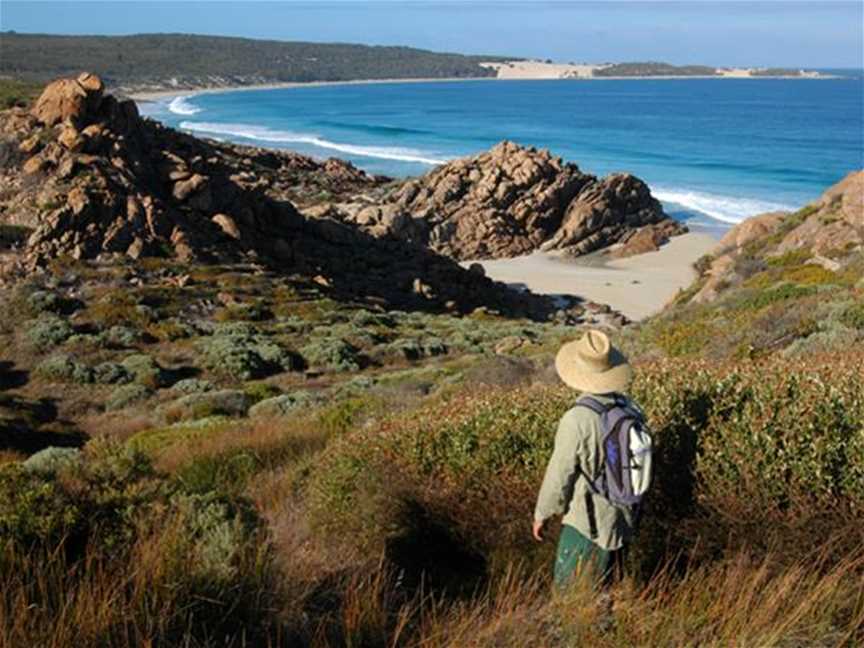 Cape Naturaliste Trail Tours, Tours in Yallingup