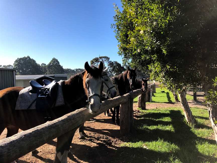 The Horse Resort, Margaret River, WA