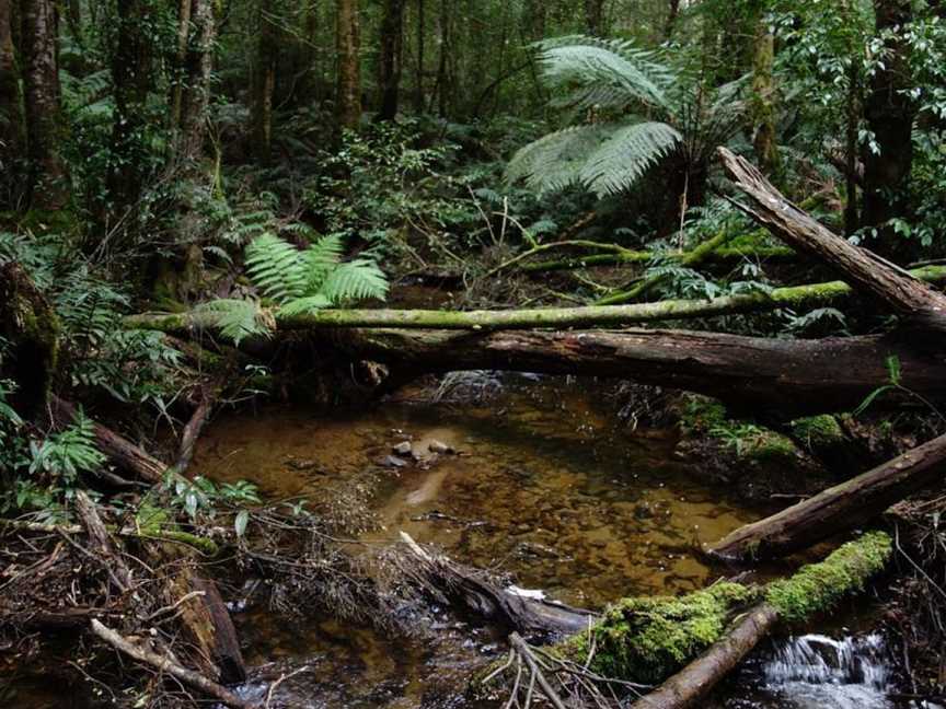 Echo Active Pty Ltd, Toolangi, VIC