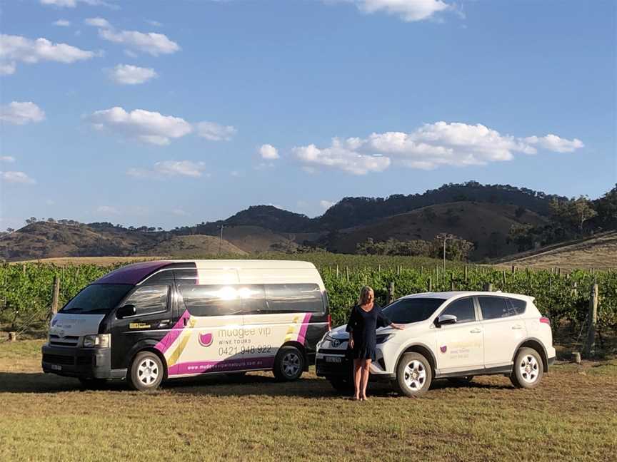 Mudgee VIP Wine Tours, Mudgee, NSW