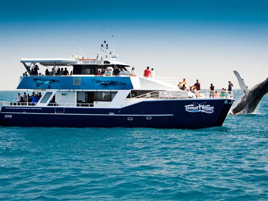 Tasman Venture - Day Tours, Hervey Bay, QLD