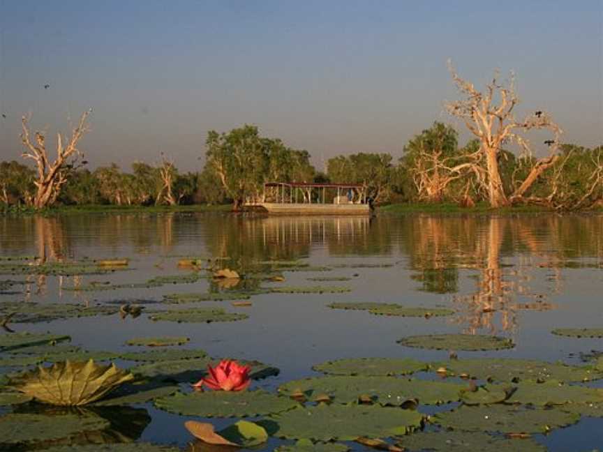 Wetland Cruises - Corroboree Billabong, Darwin, NT