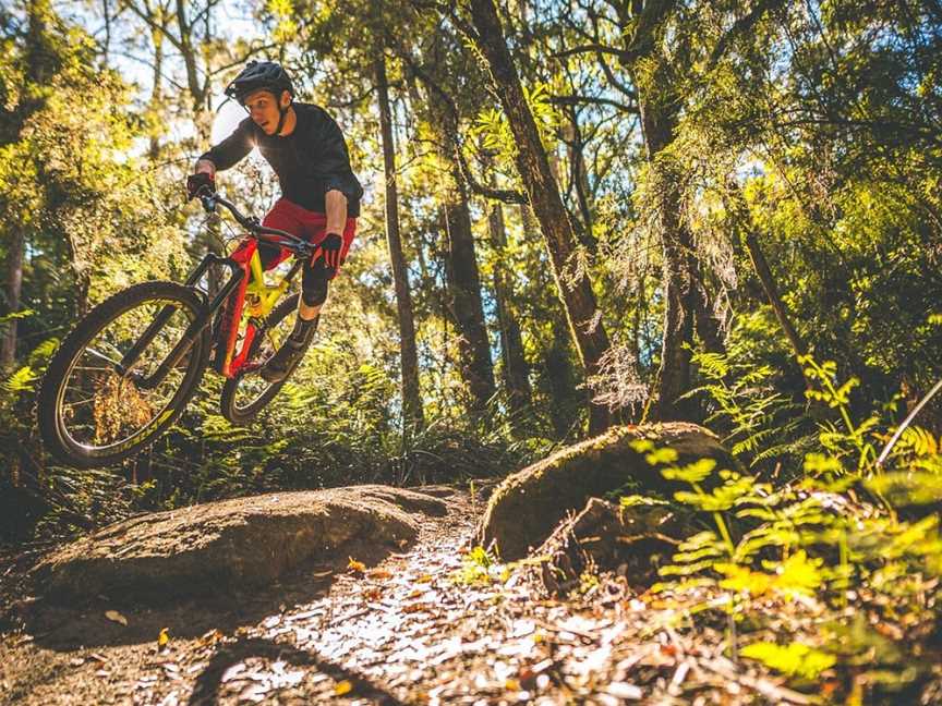 Mountain Biking Adventures Derby - MADMTB, Derby, TAS