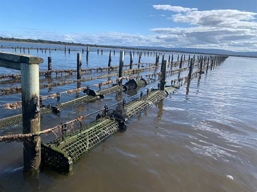 Oyster Bay Tours, Coles Bay, TAS