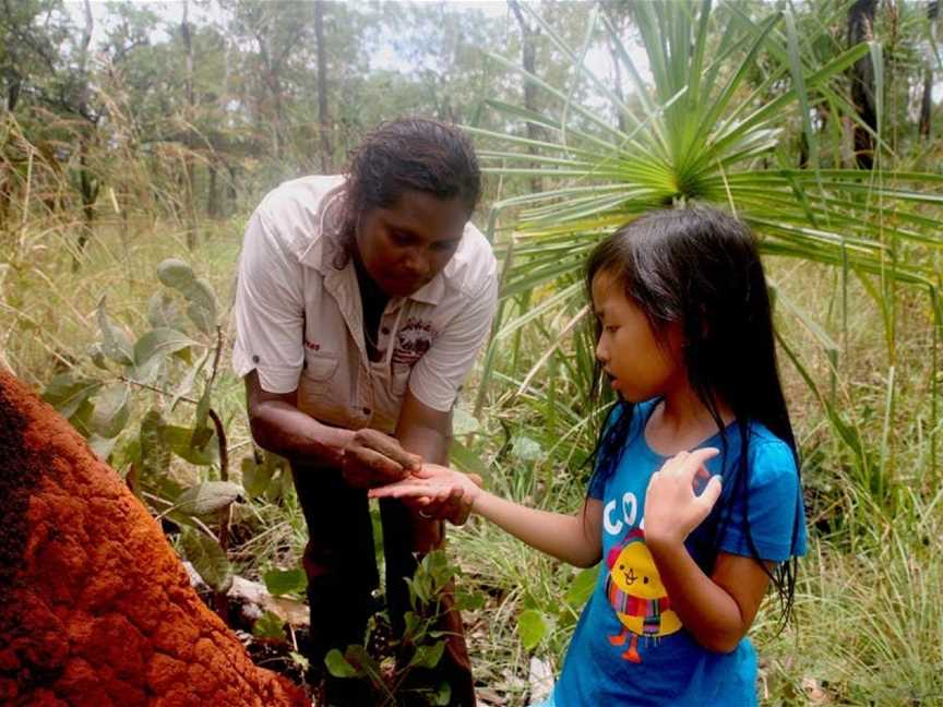 Northern Territory Indigenous Day Tours, Darwin, NT