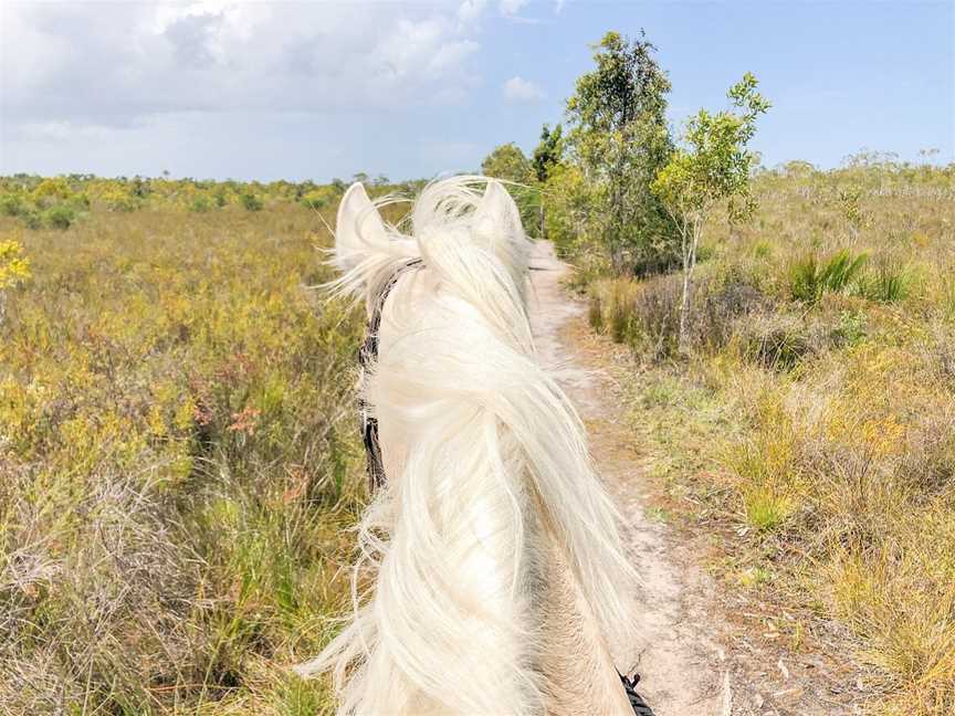 Equathon, Noosa North Shore, QLD