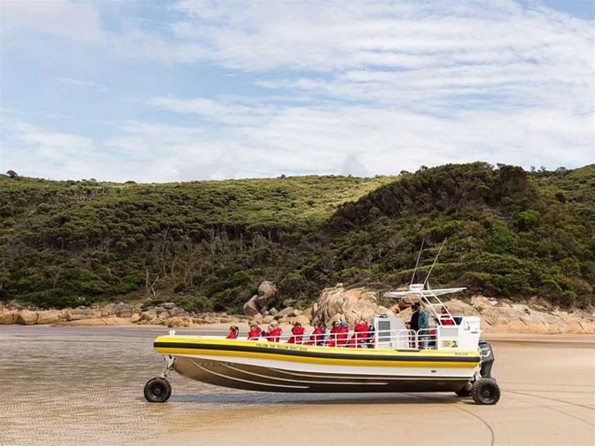 Wilsons Promontory Cruises, Wilsons Promontory National Park, VIC