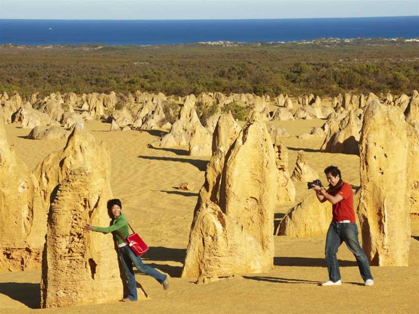 Noosa Quad Bike Tours, Noosa Heads, QLD