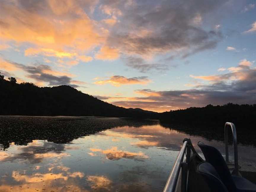 Dan Irby's Mangrove Adventures, Daintree, QLD