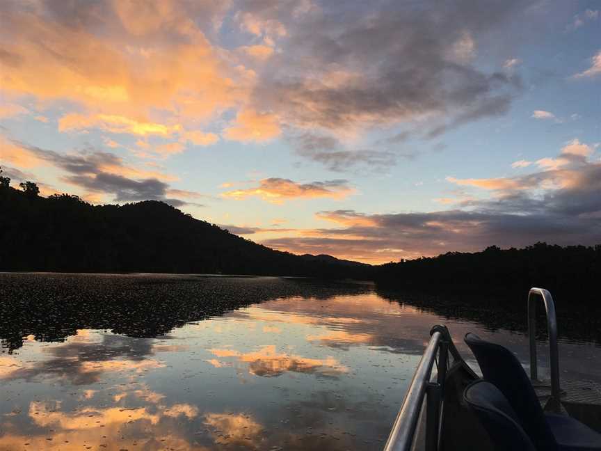 Dan Irby's Mangrove Adventures, Daintree, QLD