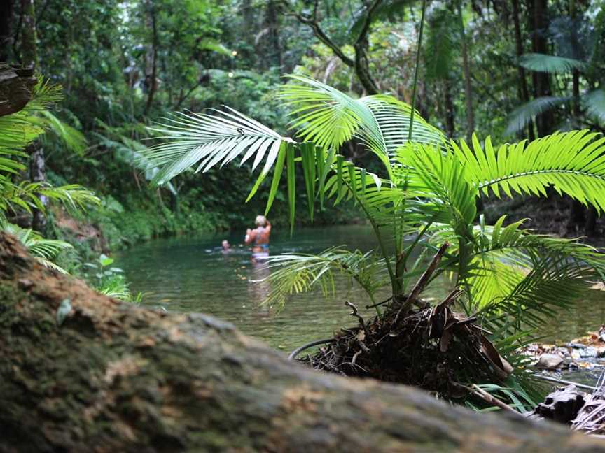 Odyssey Bound, Port Douglas, QLD