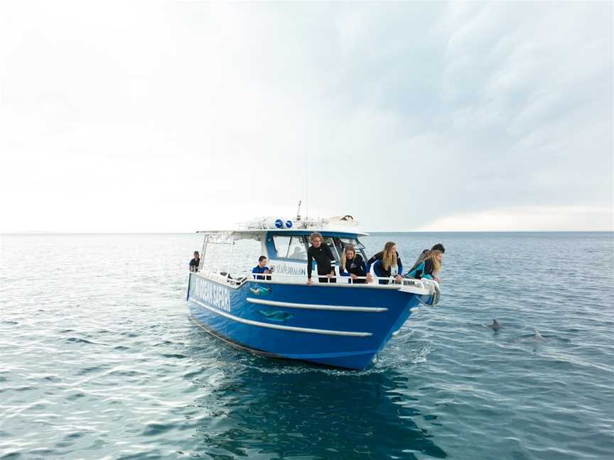 Kangaroo Island Ocean Safari, Penneshaw, SA